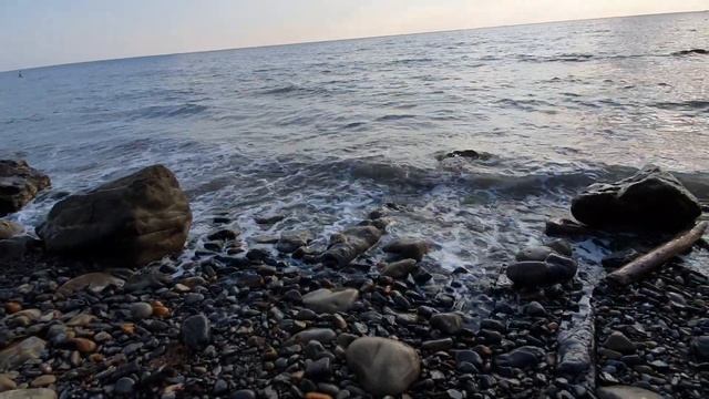 Дельфины подплыли близко к берегу #море #природа #отдых #краснодарскийкрай смотреть онлайн