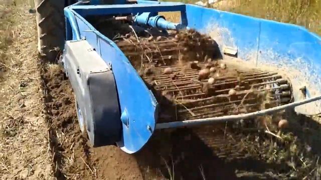 Збирання картоплі трактором МТЗ 82 копалка-трусилка,урожай осінь 2017 смотреть онлайн