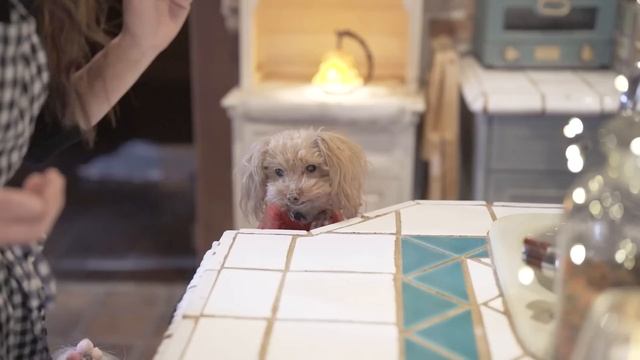 【田舎暮らし】60代/癒し/山里のクリスマスデコ?からだ整うヴィーガン料理/さつまいもと胡桃の温かスープ