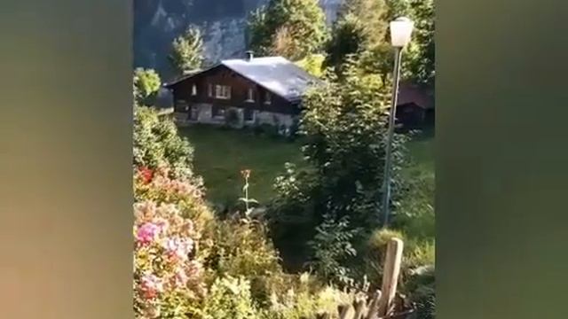 Ман ёри туям.... смотреть онлайн