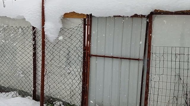 Зима вернулась. Станица Луганская. 30.03.23 смотреть онлайн