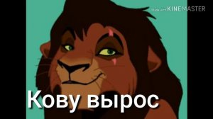 История Кову