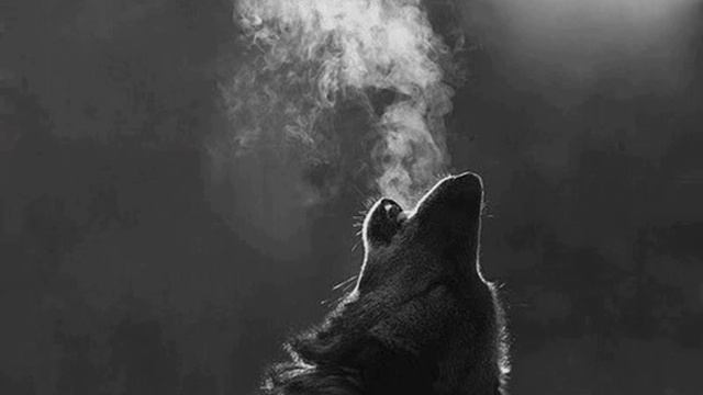 Штиль.Адам Мунашев. смотреть онлайн