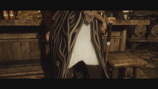 Skyrim Mod - Thieves Guild Character Overhaul смотреть онлайн