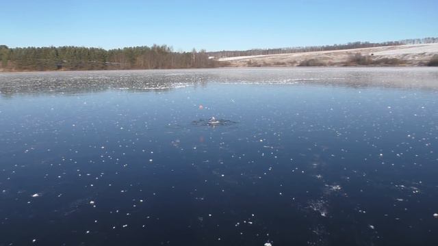 ЩУКА НА ЖЕРЛИЦУ! Рыбалка удалась! смотреть онлайн