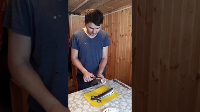 Разделывание и маринование клариевого сома смотреть онлайн