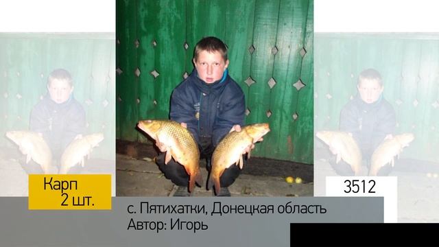 Фотоальбом - Рыбалка №702 смотреть онлайн