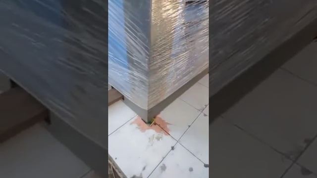 Видео,приколы,юмор,смех смотреть онлайн