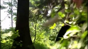 Записки экспедитора Тайной канцелярии