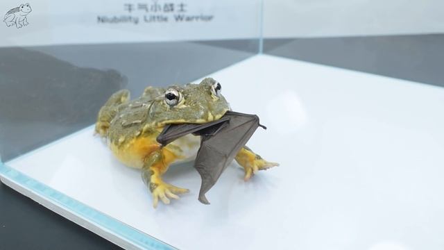 A bat flew in the house, so I gave it to the bullfrog...家里飞来一只蝙蝠，于是我将它送给了牛蛙... смотреть онлайн