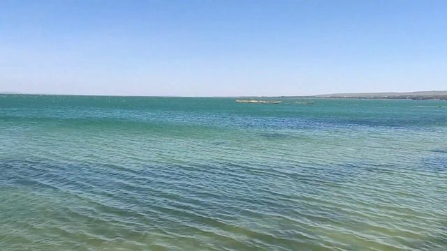 Тамань. Мы увидели дельфинов в Черном море, ощущения не передаваемые. Морская подводная охота смотреть онлайн