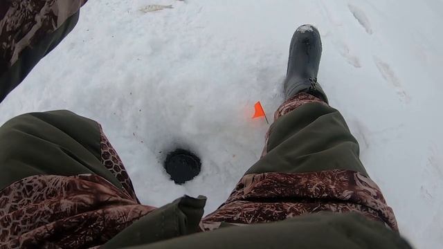 Чебак в марте. Рыбалка в Сибири .Омск 2023 смотреть онлайн