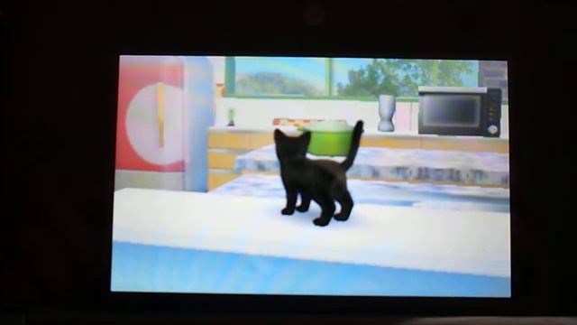 Nintendogs+cats kuroneko смотреть онлайн