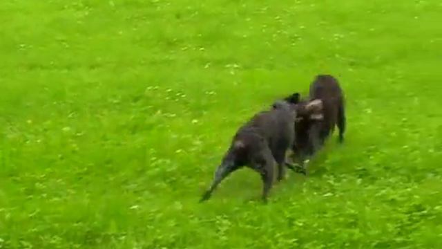 Play with me and have some fun смотреть онлайн