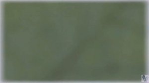 Инфинити Пусть музыка играет  Новинка 2017