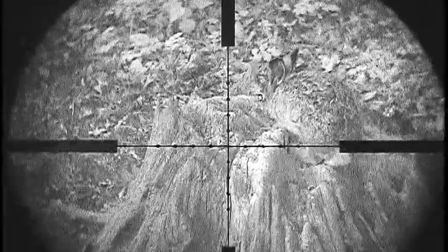 ЗАЕЦ НА СОЛОНЦЕ или ОХОТА НА ЗАЙЦА С САМОДЕЛЬНОЙ НОЧНОЙ НАСАДКОЙ НА ПРИЦЕЛ смотреть онлайн