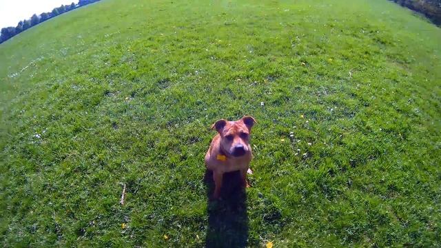 gitup git 2 смотреть онлайн