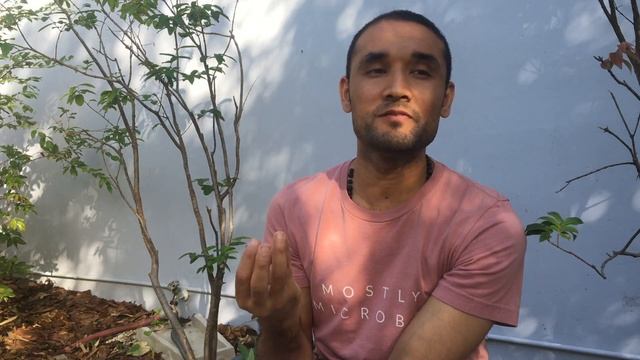 Red Hybrid Jaboticaba Tasting - 2021 Season смотреть онлайн