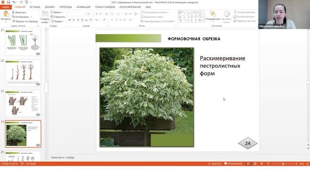 ФОРМОВОЧНАЯ И САНИТАРНАЯ ОБРЕЗКА смотреть онлайн