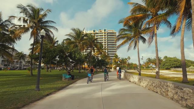 Miami in 4K смотреть онлайн