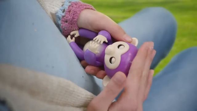 купить ручную обезьянку Fingerlings в Украине смотреть онлайн