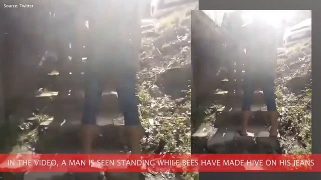 улыбнись пчеловодство для начинающих пчелы нашли новый дом. передвижная пасека смотреть онлайн