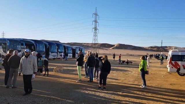 Первый раз в Египте, город Хургада. Что вас ожидает по прилету. Виза, интернет. ВАЖНО ЗНАТЬ! 2020 смотреть онлайн