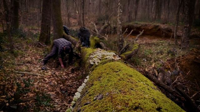 ГОТОВИМ В ЛАГЕРЕ | КАК ПРИГОТОВИТЬ ГАМБУРГЕР | КАК СДЕЛАТЬ ПРИМИТИВНЫМИ СПОСОБАМИ ЗЕМЛЯНУЮ ПЕЧЬ смотреть онлайн