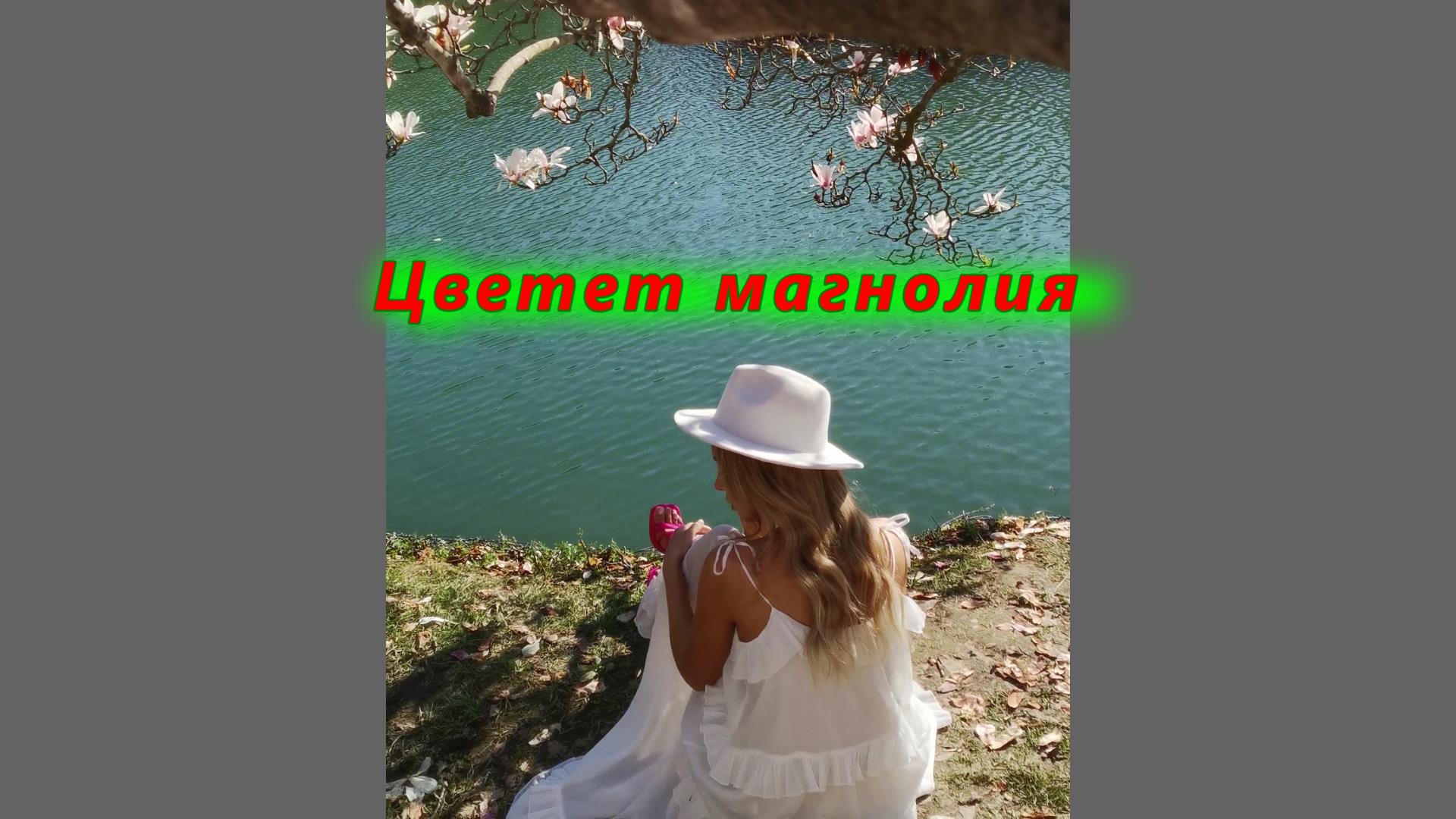 Парк Южные Культуры в Адлере сегодня весь в цвету/ Цветет магнолия смотреть онлайн