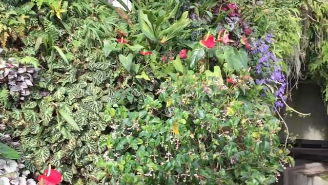 Стоит ли тратиться на Gardens by the Bay в Сингапуре? Что там посмотреть? смотреть онлайн