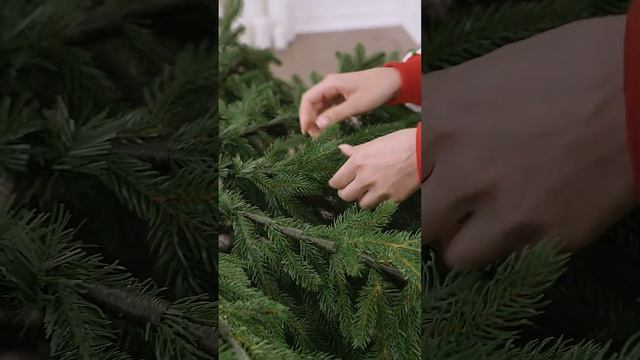 Ель искусственная Империя Ёлок - Ель "Монарх" 2,1 м смотреть онлайн