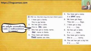 Spotlight (английский в фокусе) 3 класс Грамматический тренажер страница 13 номер 3 ГДЗ решебник