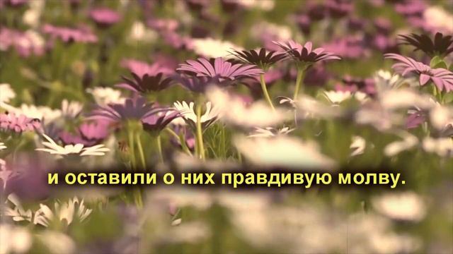 Мухаммад аль-Люхайдан - Коран, сура "Марьям" (Мария) смотреть онлайн