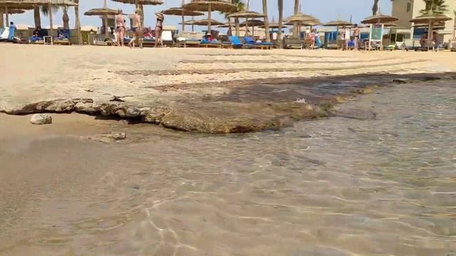 Пляж Beach Albatros для 4 отелей, март 2021, Хургада, Albatros Aqua Blu, Aqua Park, Aqua Vista смотреть онлайн