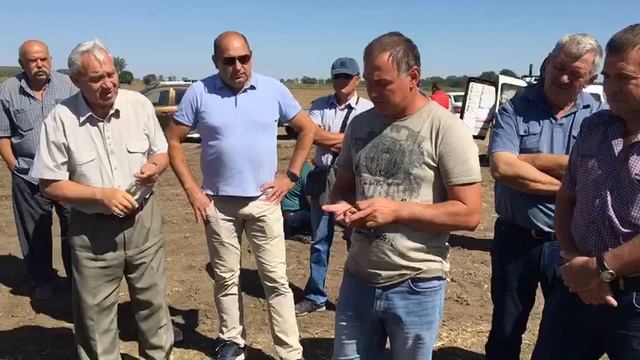 лук Медуза F1 от компании Takii seeds в Ставрополе 2019. смотреть онлайн