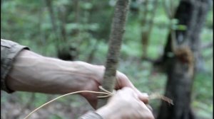 Выживание в лесу I 3 совета по обустройству жизни.