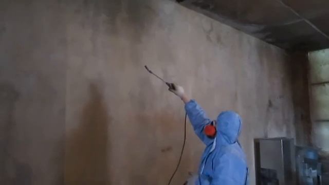 Уничтожение плесени в коттедже смотреть онлайн