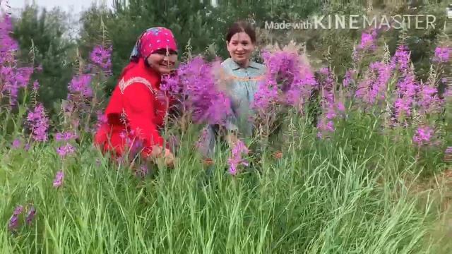 Хинты из бересты смотреть онлайн