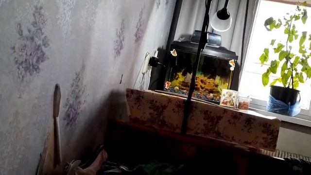 Распаковка товаров с магазинов,где мы были!? смотреть онлайн