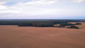 "Завушницы" Песняры (cover)