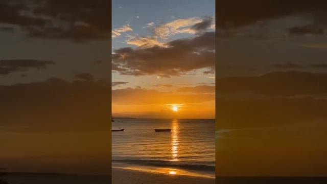 THE NUNGWI BEACH ZANZIBAR смотреть онлайн