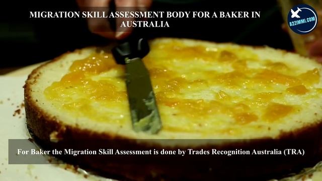 BAKER OPTIONS FOR AUSTRALIA IMMIGRATION | STUDY, WORK & PR DETAILS смотреть онлайн