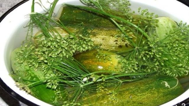 Сборник рецептов