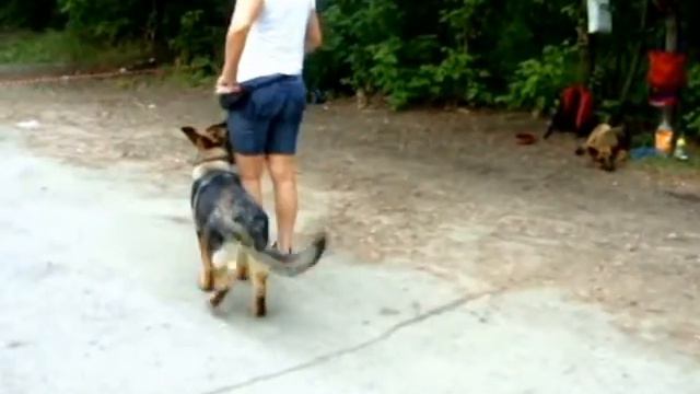 ПЕРВЫЕ ШАГИ НИКА (Команда "РЯДОМ") смотреть онлайн