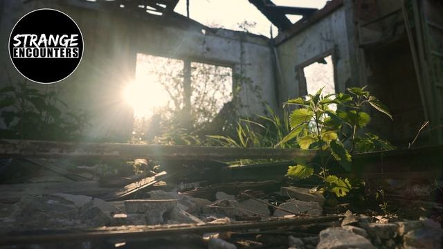 Strange Encounters - Unknown and Unexplained Encounter Stories смотреть онлайн