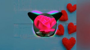 на рейве цветы🌹