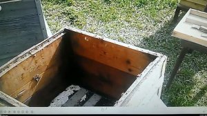 #Пчелы весной   что делать