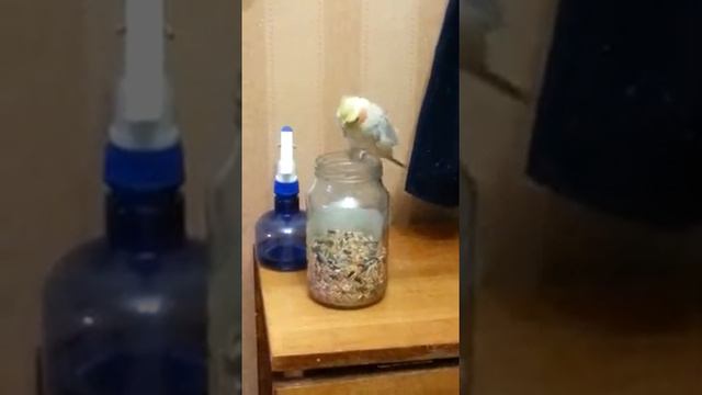 Голод не тетка смотреть онлайн