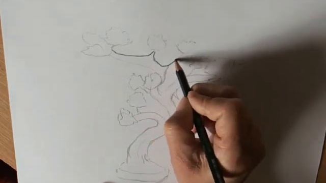 Учимся рисовать Бонсай смотреть онлайн