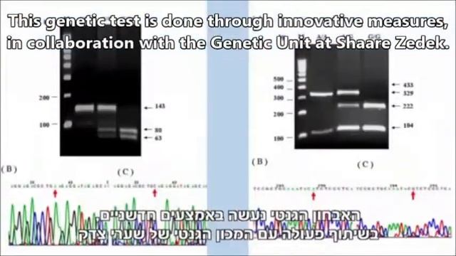 IVF at Shaare Zedek Medical Center in Jerusalem смотреть онлайн